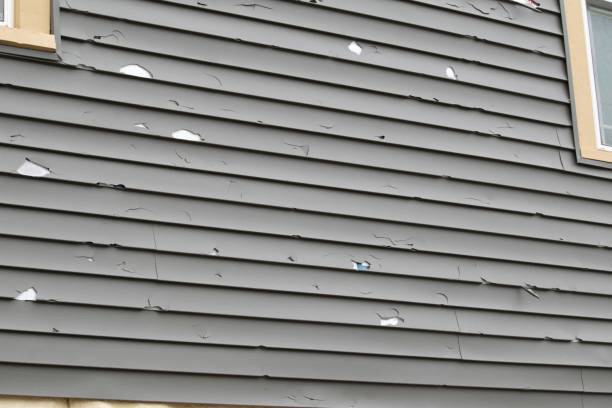 Best Siding Painting and Refinishing  in Bucyrus, OH