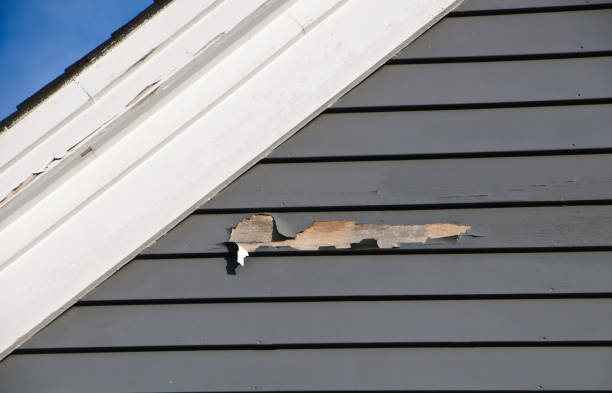 Best Fascia and Soffit Installation  in Bucyrus, OH